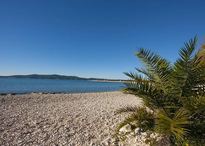 Appartement Beader *